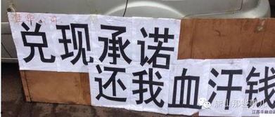 一元换命,揭秘生死边缘的惊心动魄