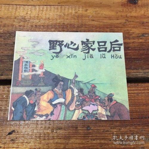 野心家,梦想与现实的交织之路